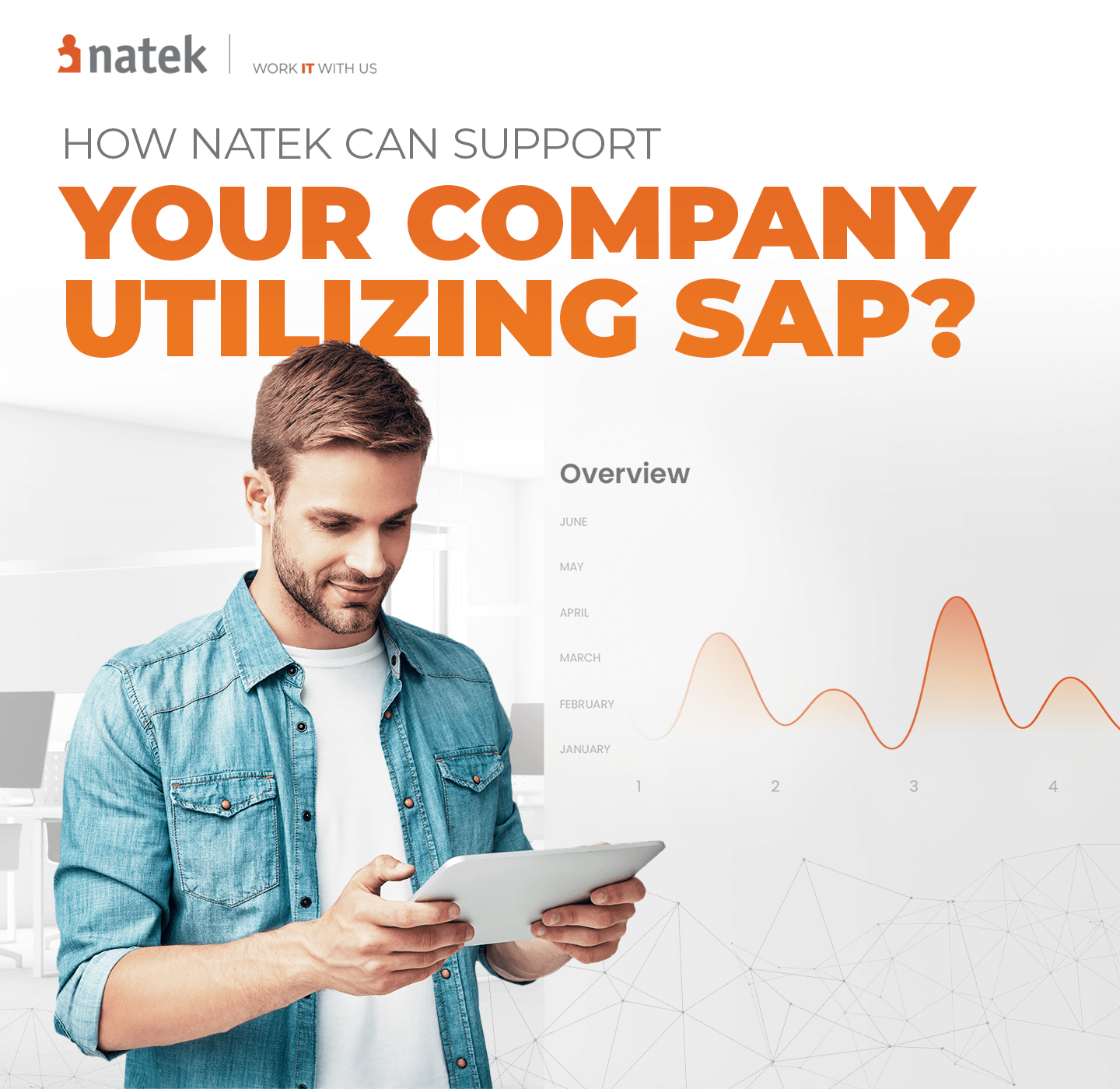How NATEK can support companies using SAP?