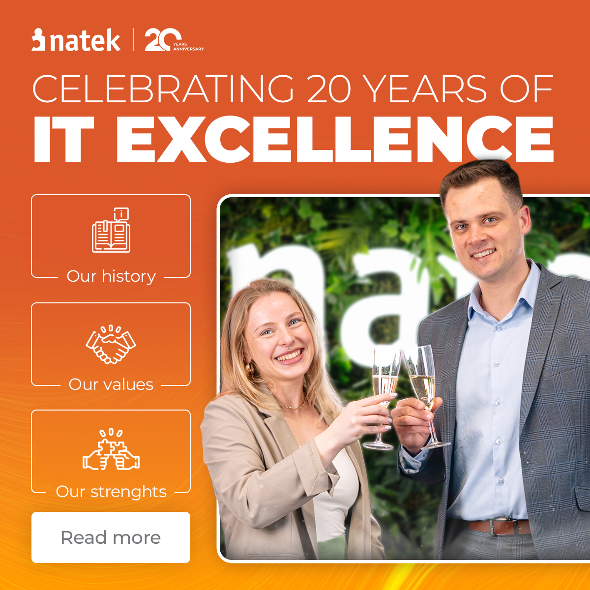 20 years of NATEK - our story